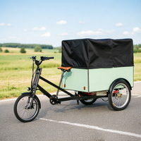 Tricycle électrique de livraison express motorisé 48V 850W à 3 roues pour marchandises lourdes – Approvisionnement direct usine