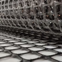 Géogrille en polypropylène, géogrille bidirectionnelle en PP, géogrille plastique biaxiale pour mur de soutènement
