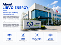Batería de Litio LiFePO4 de Gran Capacidad, 51.2V, 30kWh, 40kWh, 600Ah, 628Ah, 800Ah, 1000Ah, para Almacenamiento de Energía Solar en el Hogar, 10 Años de Garantía