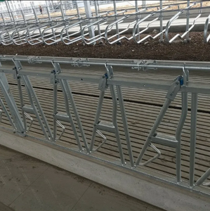 Catenaccio <span class=keywords><strong>per</strong></span> bestiame <span class=keywords><strong>per</strong></span> impieghi gravosi con sistema di alimentazione, bloccacollo <span class=keywords><strong>per</strong></span> <span class=keywords><strong>bovini</strong></span>, cancelli e box <span class=keywords><strong>per</strong></span> bestiame - Product Image 3