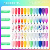 Vendeeni 5 effets néon Pat Pat Ombre Gel vernis à ongles coffret Collection 12 couleurs OEM usage multiple Gel vernis à ongles fournitures d'art des ongles