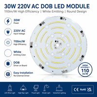 Module LED 30W 220V AC DOB Rond Haute Efficacité 110lm/W pour Éclairage Minier et Industriel