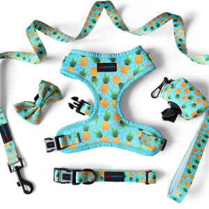 Set di imbracature per cani in Neoprene con imbracatura in Neoprene personalizzata XXL da XXL - Product Image 1