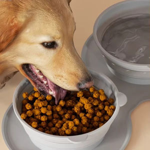 Hot selling high quality portable silicone pet slow feeder <b>bowl</b>, two <b>bowls</b> combination cat drinking <b>bowl</b> pet products - Product Image 2