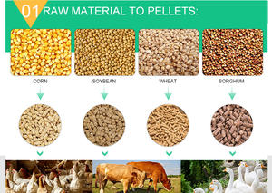 Kleine Boer Kip Pluimvee Vogel <span class=keywords><strong>Feed</strong></span> Pellet Molen Machine - Product Image 2