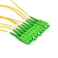 Type de cassette de boîte de diviseur de PLC connecteurs de 1x4 SC/APC pour FTTX FTTH