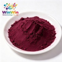 Fabriekslevering 100% natuurlijke bosbessen anthocyanine 25% bosbessen fruitpoeder