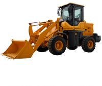 Pale Gommate 2 Ton di Carico 800Kg Payloader per la vendita