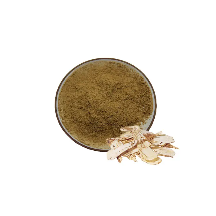 Angelica Sinensis Extract 1% Ligustilide Radix Angelica Root Extract