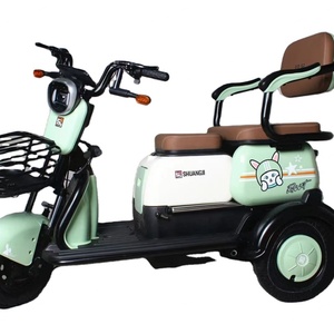 Nouveau Tricycle Électrique Puissant 2023 à Trois Roues pour Adultes, Vélo Cargo avec Outils Mobiles Inclus, Origine Chine - Product Image 6