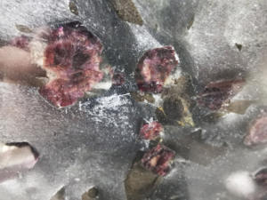 Melograno rosso naturale luminoso <span class=keywords><strong>pietra</strong></span> di marmo unico rubino onice retroilluminato parete di cristallo rosa 18mm <span class=keywords><strong>pietra</strong></span> brasiliana - Product Image 5