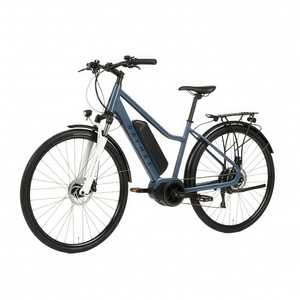 Vélo électrique de ville 28 pouces, moteur central Bafang M420 250W, capteur de couple <span class=keywords><strong>NEXUS</strong></span> <span class=keywords><strong>7</strong></span> vitesses, frein à disque hydraulique, batterie au lithium - Product Image 1