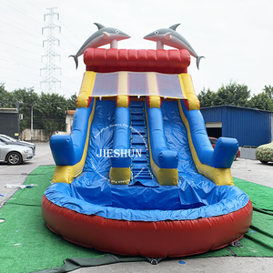 2020 Thiết Kế Mới PVC Ngoài Trời Mùa Hè Inflatable Dolphin TRƯỢT KÉP Trượt Và Trượt Nước Trượt Với Hồ Bơi Để Bán - Product Image 3