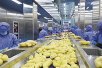Hoogproductieve automatische aardappelhakmachine voor de productielijn van fruit- en aardappelchips en frieten