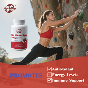 Cápsulas de algas marinas rojas de marca privada OEM ODM - Apoyo a la salud digestiva, antioxidante, apoyo a la salud general, vegano, sin OMG - Product Image 2