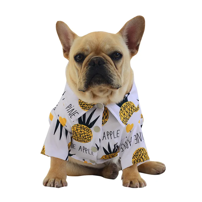 여름에 있는 작은 개를 위한 도매 대중적인 폴로 개 T-셔츠