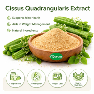 Extrait de Cissus Quadrangularis en poudre, soutien naturel des articulations et des os, certifié GMP - Product Image 1