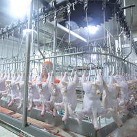 Couteau d'abattage de poulet Ligne d'abattage d'autruche Machine d'abattage et d'emballage de poulet