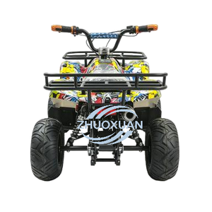 Quad tout-terrain pour adultes à faible consommation d'énergie, VTT électrique à quatre roues abordable pour la conduite de loisirs - Product Image 2