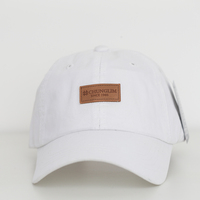 Topi Baseball Pria Kasual Vintage Fashion 6 Panel Berbahan Oxford dengan Logo Cetak OEM Grosir, Berpori dan Bernapas