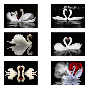 DIY diamante <span class=keywords><strong>pintura</strong></span> cuadrado completo/redondo Animal cisne blanco lienzo artesanía arte adulto decoración del hogar bordado accesorio Kit Taladro - Product Image 3