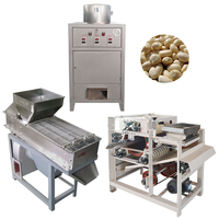 Machine à peler les cacahuètes sèches portable, durable, pour la petite restauration et la production alimentaire