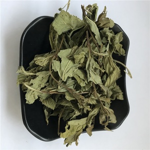 Feuilles de <span class=keywords><strong>menthe</strong></span> fraîchement récoltées, herbes séchées et thé à la <span class=keywords><strong>menthe</strong></span> <span class=keywords><strong>poivrée</strong></span> séchée - Product Image 5