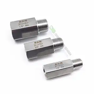 304 paslanmaz çelik 1/8 "1/4" 3/8 "1/2" BSP NPT dişi erkek tek yönlü çek valf çek Inline çek valf