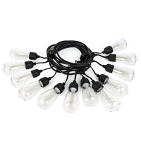 Guirlande Lumineuse à Filament Unique de 48 Pieds-15 Ampoules Décoration de Fête de Vacances Guirlande Lumineuse Boule de Flamme de Noël Guirlande Lumineuse