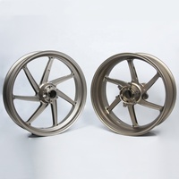 Ruedas de Motocicleta de Aleación de Aluminio Forjado de 17 Pulgadas, Ligeras y de Alta Resistencia, para BMW Serie S1000RR / F900 / R NineT