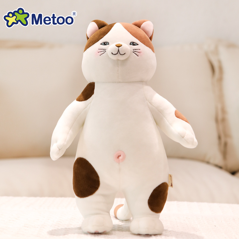 Gato Tabby