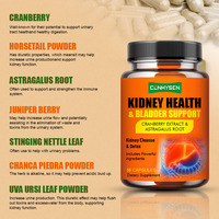 OEM Premium kapsul pendukung kesehatan ginjal & kandung kemih dengan Astragalus akar mendukung fungsi ginjal kapsul suplemen kesehatan