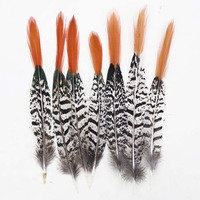 Plumes de Faisan en Gros, Plumas De Faisan, Pointe Rouge Cuivrée pour Costume de Carnaval, Danse Aztèque, Coiffe Dia De Muertos