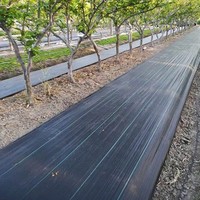 Toile de paillage tissée en PP stabilisée aux UV pour la protection des vergers, serres, aménagements paysagers et agricoles