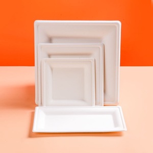 Assiettes carrées biodégradables en pulpe de papier 95x95x95mm pour le camping et les activités de plein air - Product Image 3
