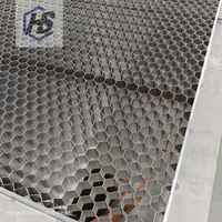 Table en nid d'abeille Hengshi en acier doux/acier inoxydable HSL super durable, technologie de découpe au laser CO2, résistante à l'eau et au feu