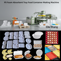 Machine de thermoformage automatique à bas prix de l'usine Haiyuan pour la fabrication de boîtes à emporter en mousse PS, d'assiettes et de barquettes à œufs