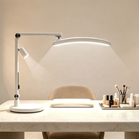 Lampe de bureau LED professionnelle pour ongles avec double lumière réglable, lampe de table pour manucure, vente en gros pour salon