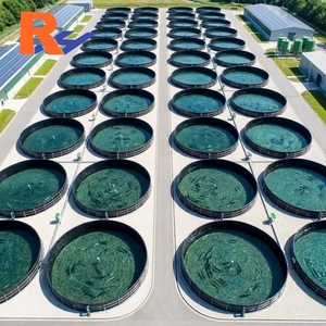 Geomembrana HDPE ASTM de 1.5 mm, 8 m x 200 m, Membrana Anti-Infiltraciones para Estanques de Residuos Mineros en la Mina de Cobre de <span class=keywords><strong>Santiago</strong></span>, Chile - Product Image 6
