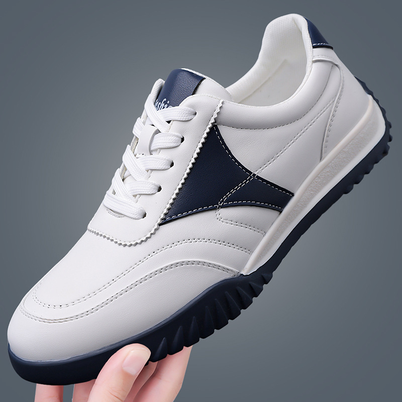 สีขาวและสีน้ำเงิน