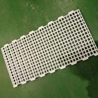 Planchers grillagés en plastique surélevés pour l'élevage au sol de poules pondeuses et de poulets de chair en ferme avicole