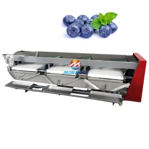 Equipo Automático de Clasificación de Frutas, Máquina Comercial de Clasificación de Arándanos para Fresas, Frambuesas y Bayas - Product Image 4