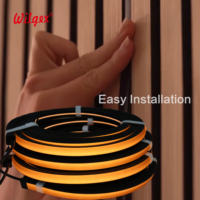 Guirlandes lumineuses LED flexibles, dimmables, contrôle intelligent WiFi, télécommande IR, longueur personnalisable, installation facile, indice de protection IP65, 24V DC haute tension