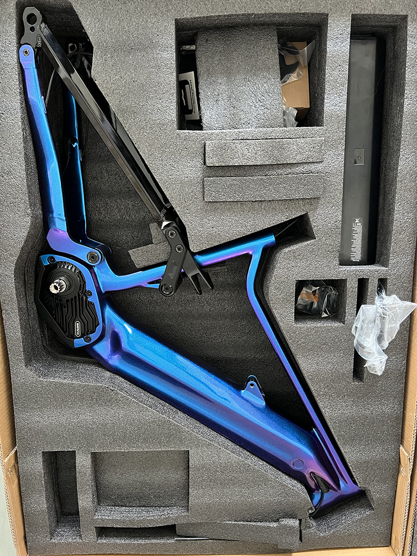 Chameleon blue