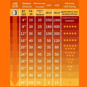 <span class=keywords><strong>Lampe</strong></span> solaire UVA/UVB à spectre complet pour reptiles, enrichie en calcium, pour tortues aquatiques et lézards criniés, à <span class=keywords><strong>prix</strong></span> réduit - Product Image 4