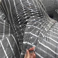 Filet en treillis métallique flexible en acier inoxydable SS316 pour mur végétal, balustrade, zoo, volière, sécurité et rampe d'escalier