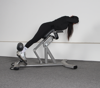 Appareil de fitness DGZ5124, machine d'extension dorsale, usage commercial et domestique