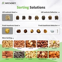 Machine de tri des couleurs Wesort Trieuse de formes efficace pour les grains de café verts Cacahuètes Grains Plastiques Traitement des produits de grains