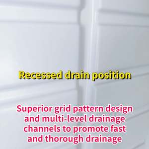 ถาดปลูกพืชไร้ดินระบบไฮโดรโปนิกส์ ABS ในอาคาร2*4 4*4 4*6 4 * 8FT - Product Image 3