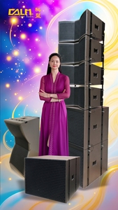 Subwoofer audio professionnel passif de 18 pouces, poids de 38 kg, LA1018BV - Product Image 6